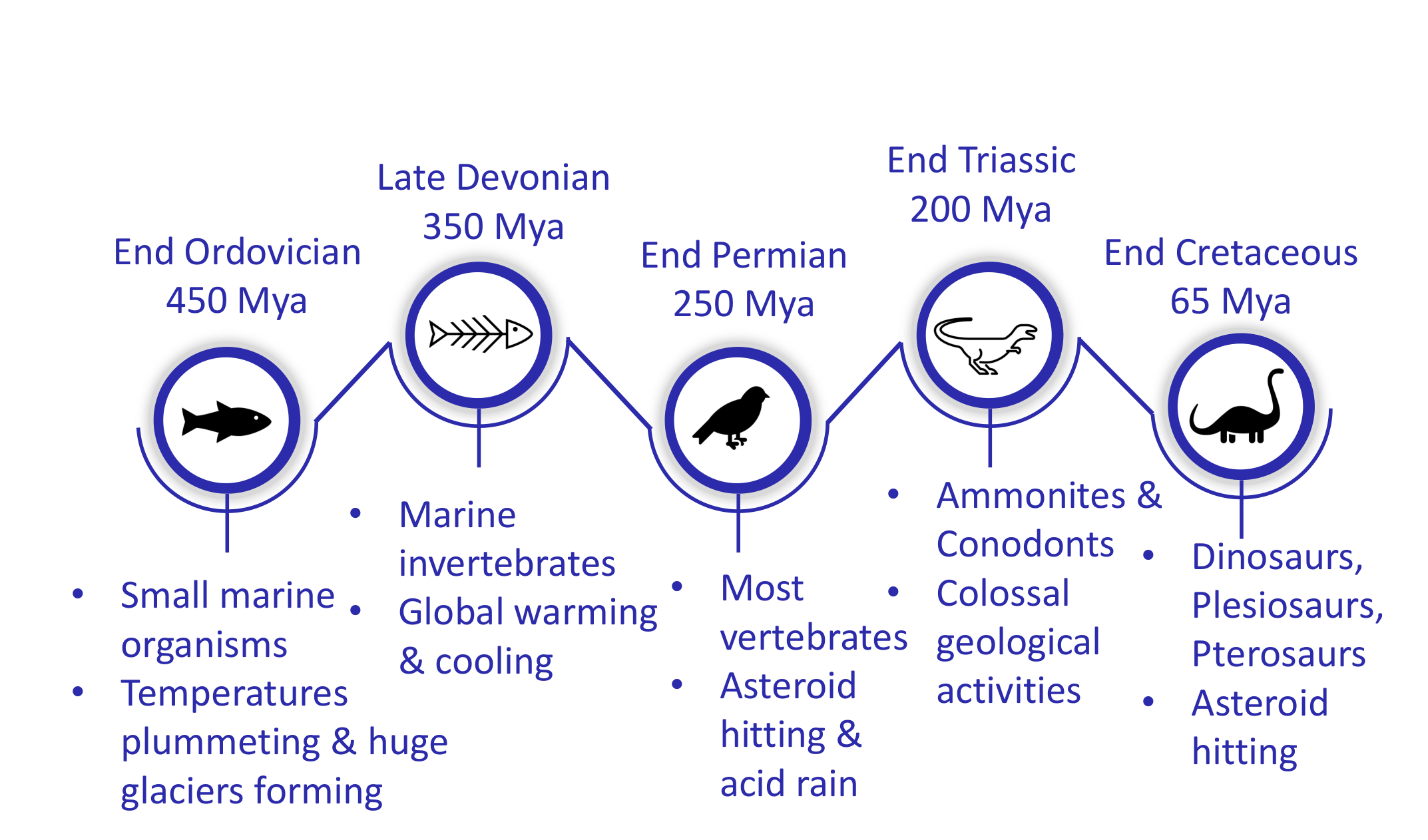 The Five Mass Extinctions