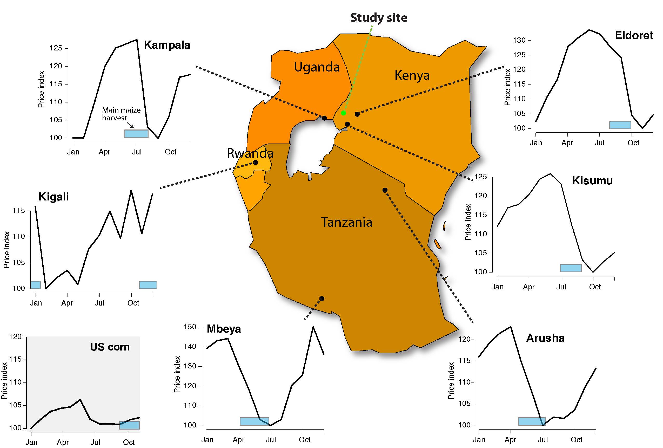 Monthly average maize prices