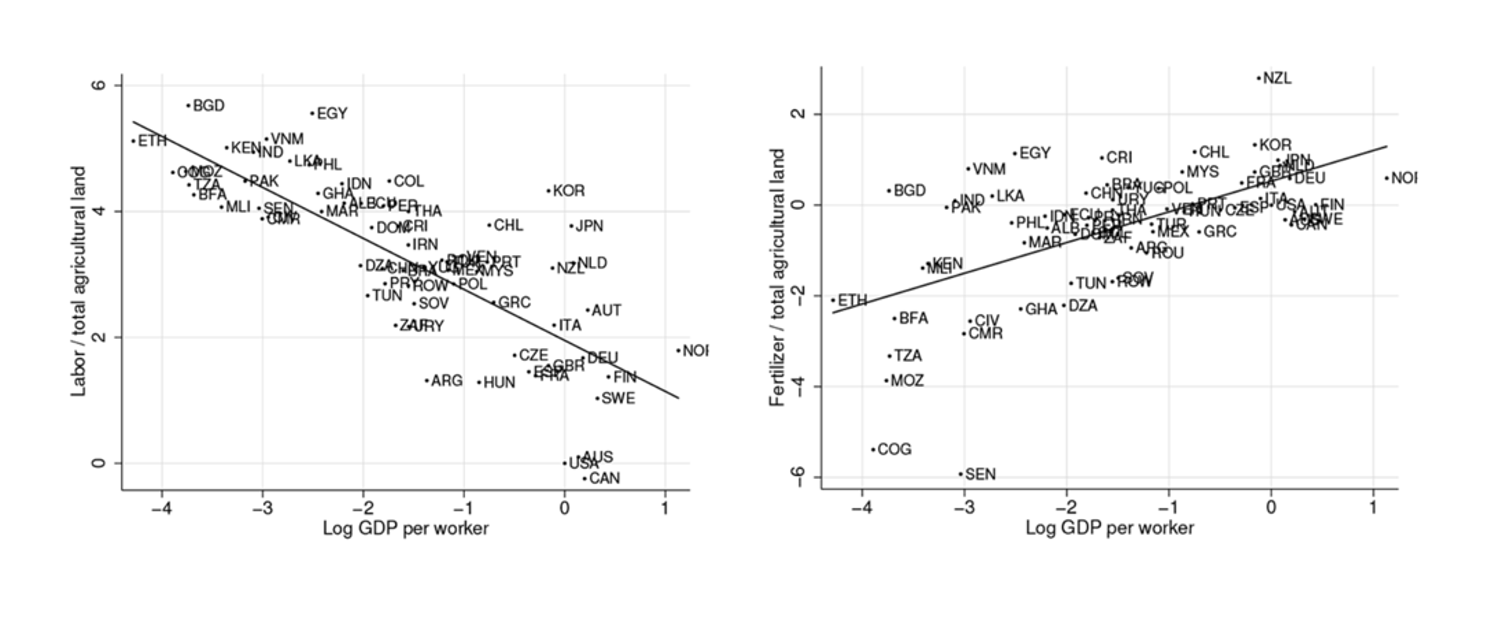 how labour and fertiliser vary with country income