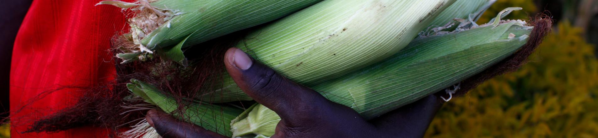 Man holding corn