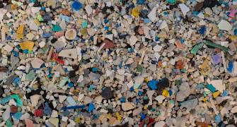 Microplastics