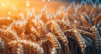 graph showing upward trend with crops in foreground, reflecting this articles focus on global trade and the rise of modern farming practices