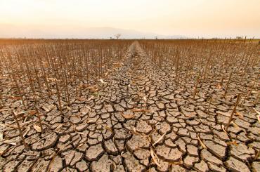 Dry farm land after drought