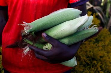 Man holding corn