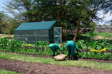 Kenyan farmers