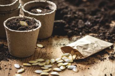 an image of seeds, representing agricultural technology