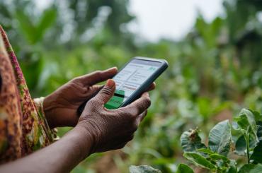 woman using mobile finance, reflecting the mobile internet fueled a financial transition in Rwanda