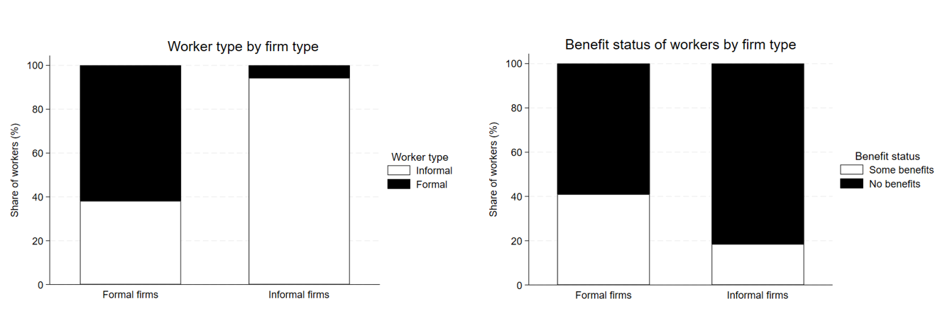 Worker type and benefit level, by firm formality type