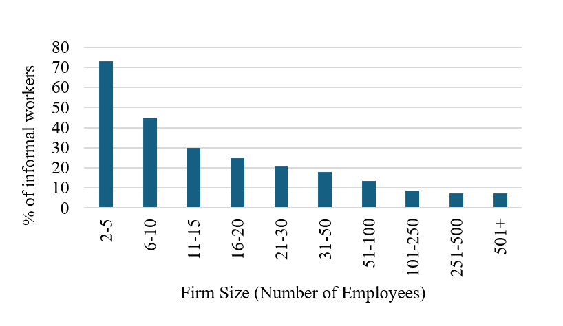 The share of informal workers by firm size