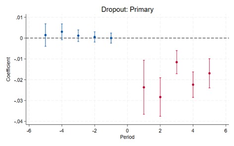 Dropout primary school