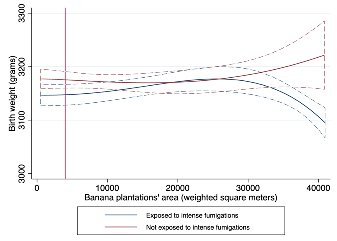 Birth weight gradient of square metres of fumigated plantations