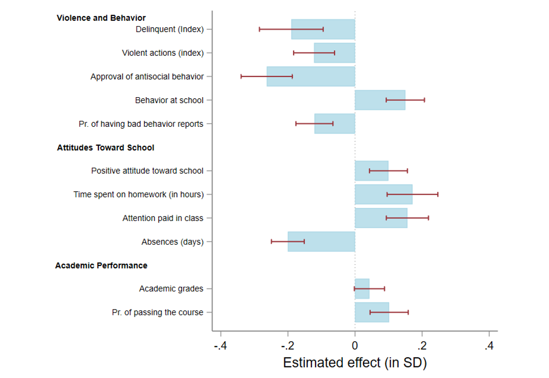 Effects of the after school programme on different outcomes.