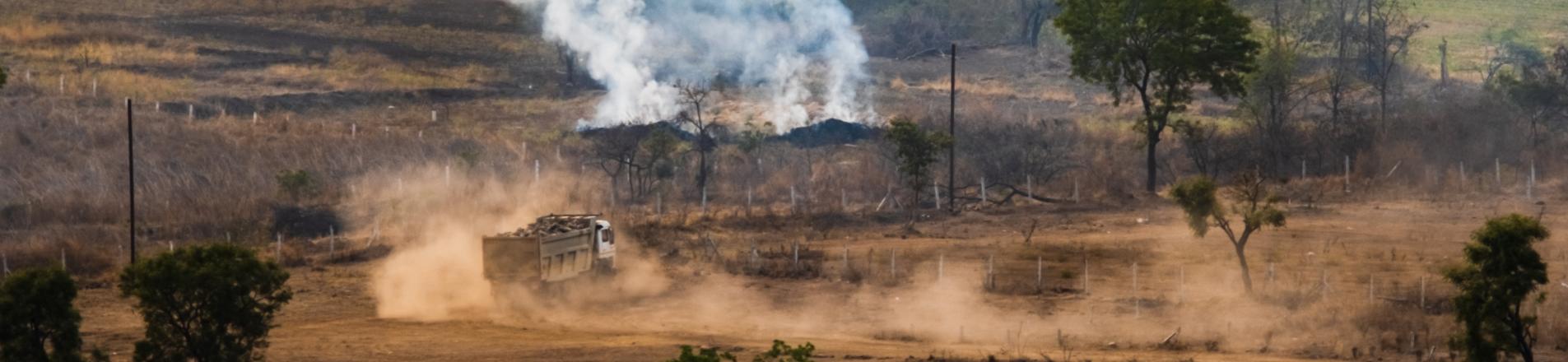 Constructing roads connected labour markets but increased harmful crop fires in rural India Image