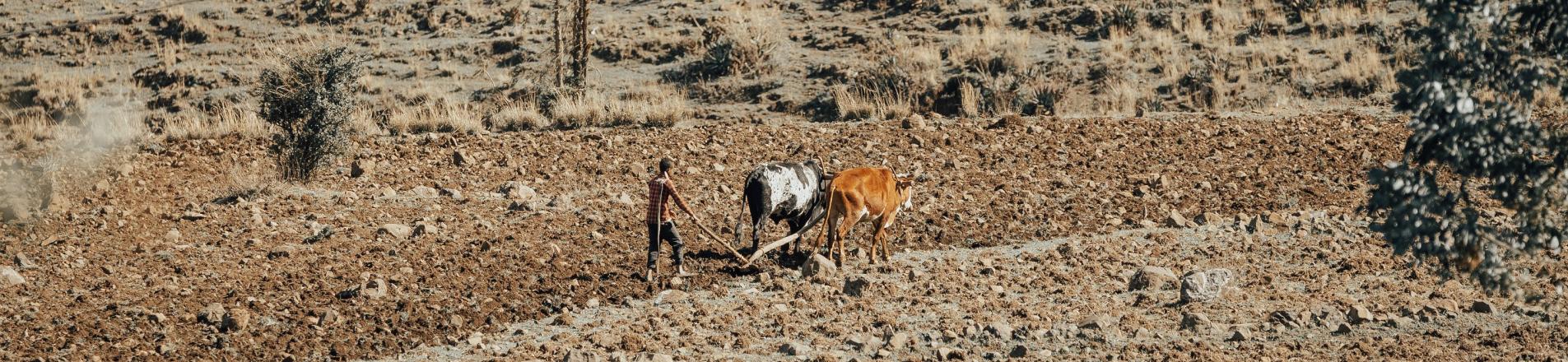 rural Ethiopia