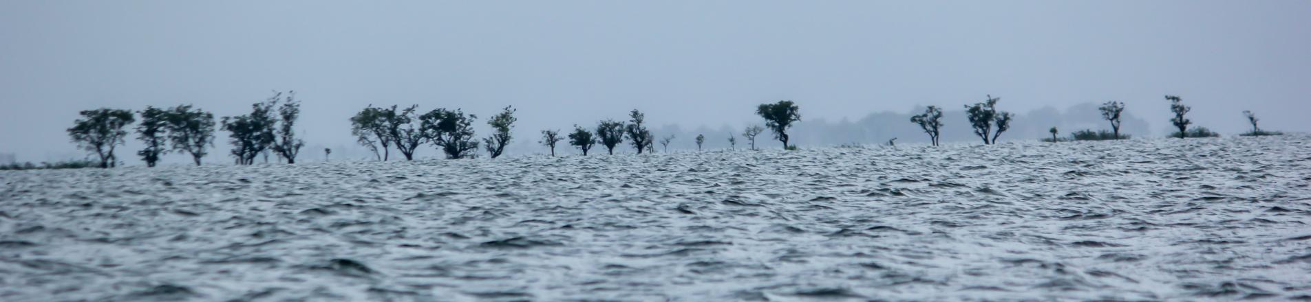 adaptation to climate change in Bangladesh