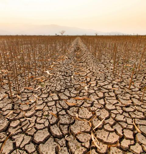 Dry farm land after drought