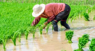 irrigation climate china