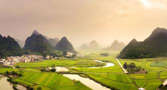 rural China fields transformation