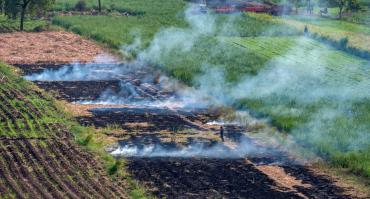 crop fires