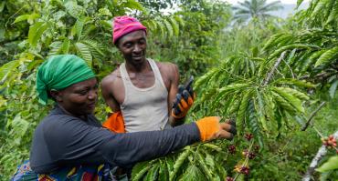 agriculture technology africa