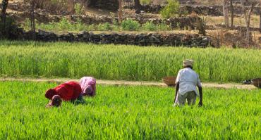 women farmers in Africa