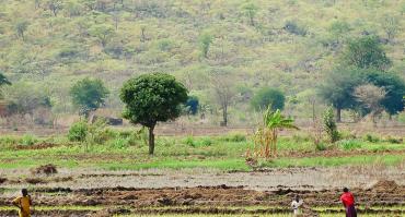 Farmers working the land