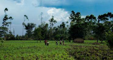 Ugandan farmers working