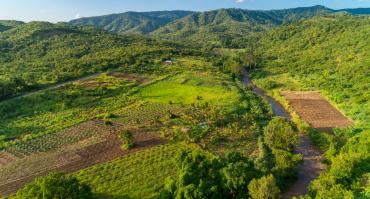 tanzania fields