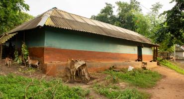 Tribal village building