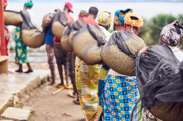 Agronomy training in Rwanda had negative spillovers image