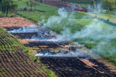 crop fires