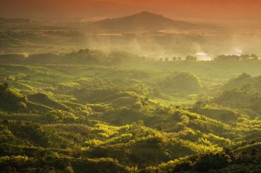 coffee colombia