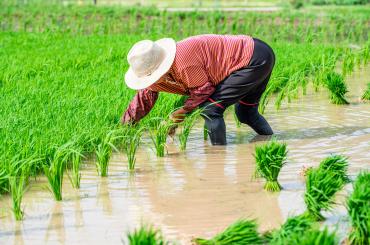 irrigation climate china