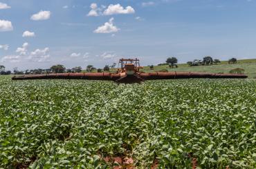 brazilian farmer applies pesticide to soybean