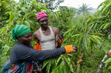 agriculture technology africa