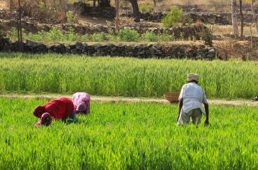 women farmers in Africa