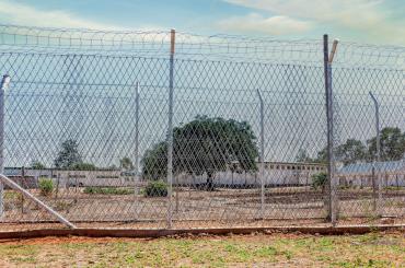 Barbed wire fence 