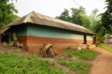 Tribal village building