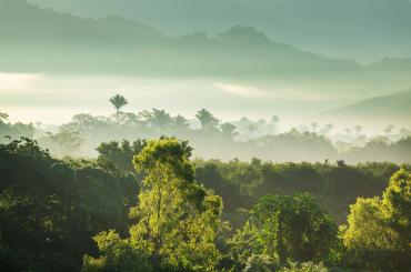 conserving jungles in Mexico